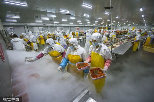 打1折的臨期食品，到底能不能吃？農業科技研發給出答案